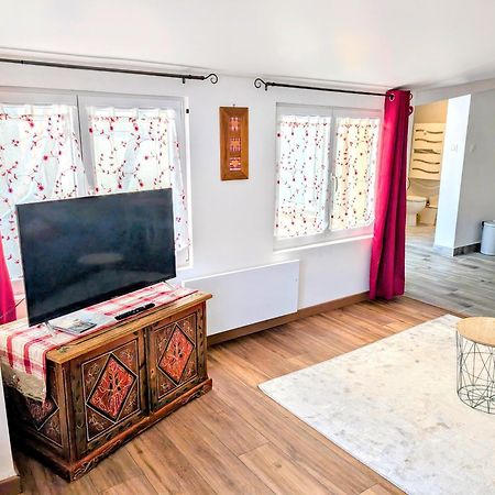 "Appartement Au Centre & Parking" Logement Petite Venise Colmar Dış mekan fotoğraf