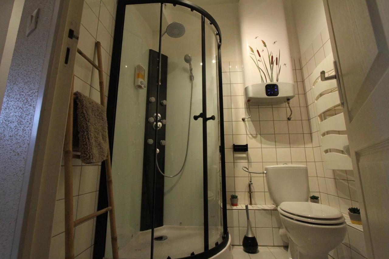 "Appartement Au Centre & Parking" Logement Petite Venise Colmar Dış mekan fotoğraf