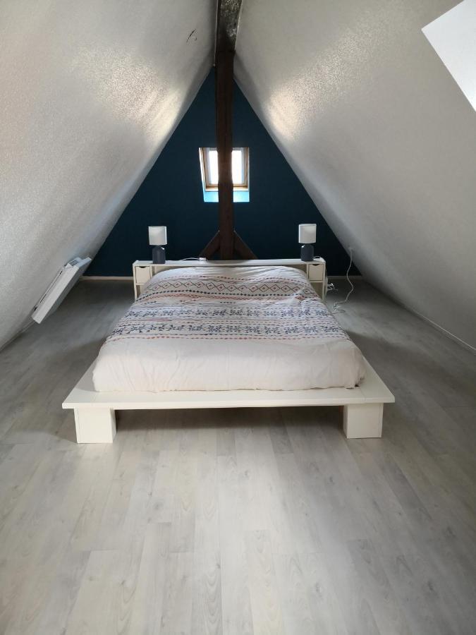 "Appartement Au Centre & Parking" Logement Petite Venise Colmar Dış mekan fotoğraf