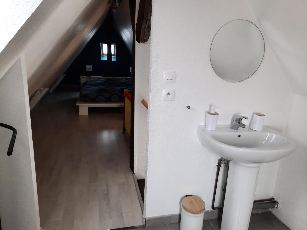 "Appartement Au Centre & Parking" Logement Petite Venise Colmar Dış mekan fotoğraf