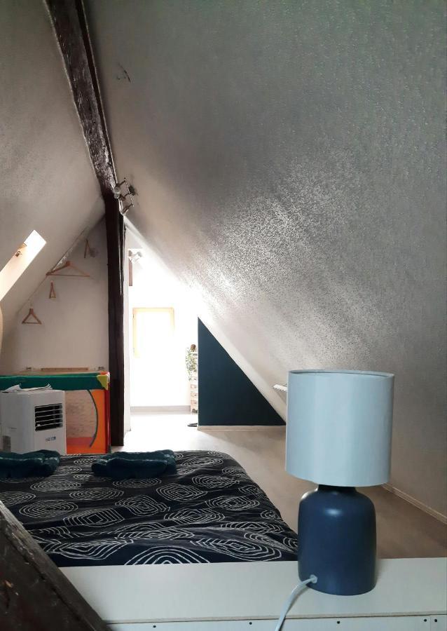 "Appartement Au Centre & Parking" Logement Petite Venise Colmar Dış mekan fotoğraf